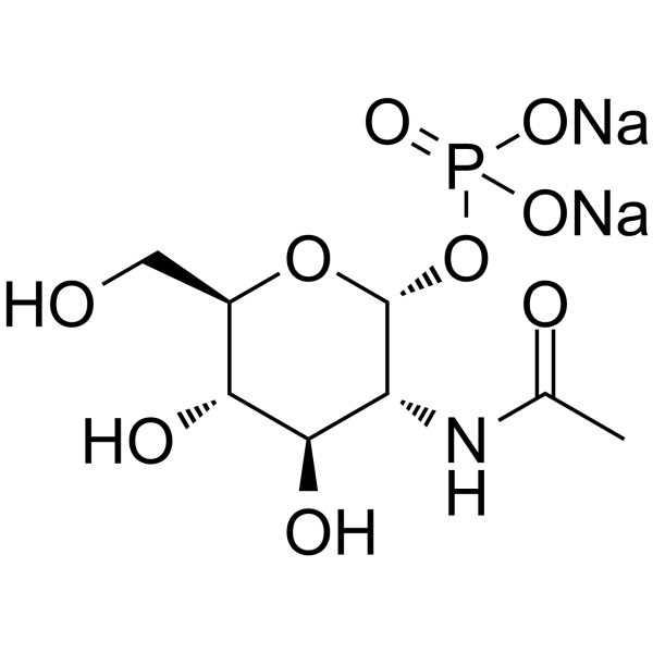N-Acetyl-α-D-glucosamine 1-phosphate disodium 31281-59-1